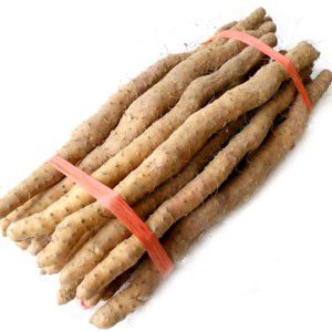 Yam Rhizome, Rhizoma Dioscoreae Yam Rhizome, Rhizoma Dioscoreae